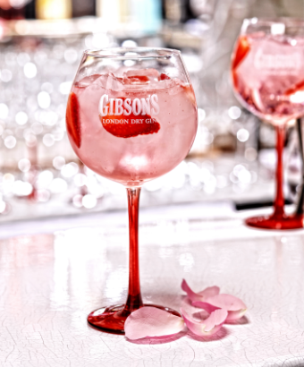 Image exemple carrousel 1 Gibson's